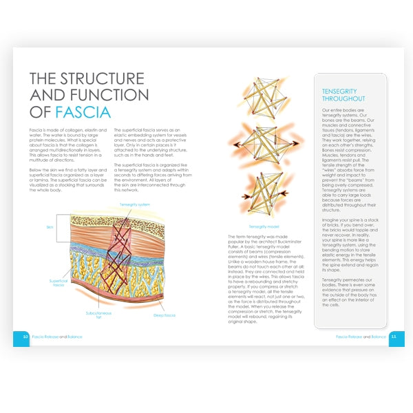 Fascia Release and Balance: Franklin Method Ball and Imagery Exercises